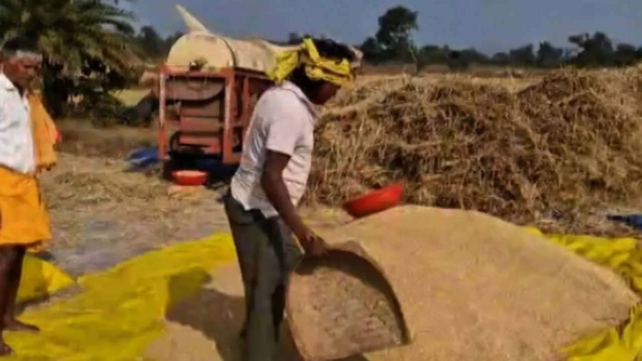 Registrations for Rabi procurement soon; 71.50 lakh metric tons paddy procured so far in Odisha