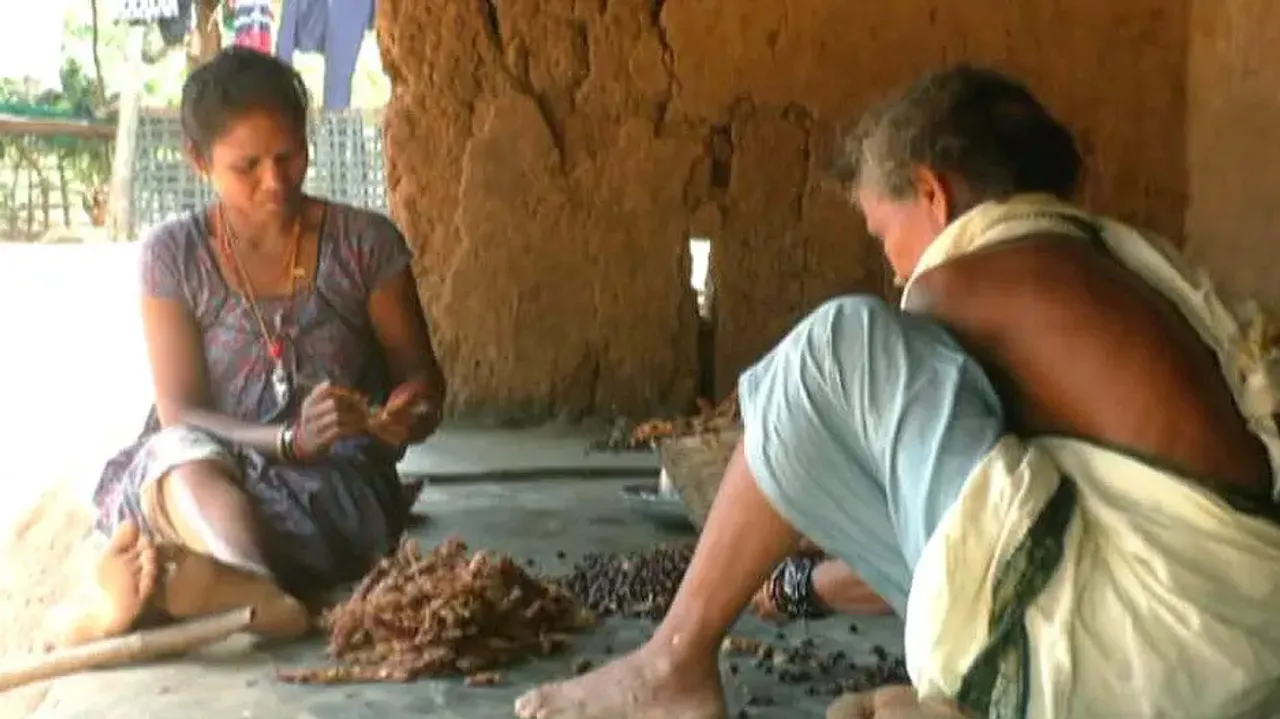 Andhra traders cashing in on 'distress sale' by Odisha tribals!