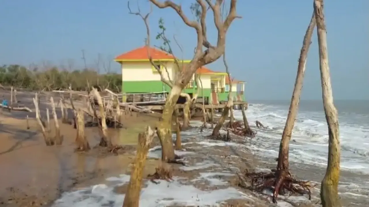 Online booking for cyclone-affected Habalikhati Nature Camp starts