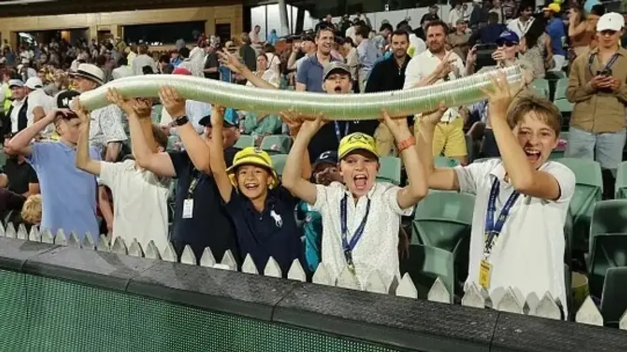 Beer snake in Adelaide