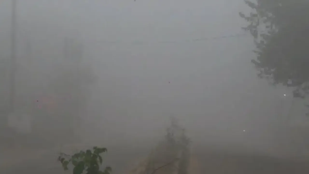 Foggy weather in Odisha as cold intensifies