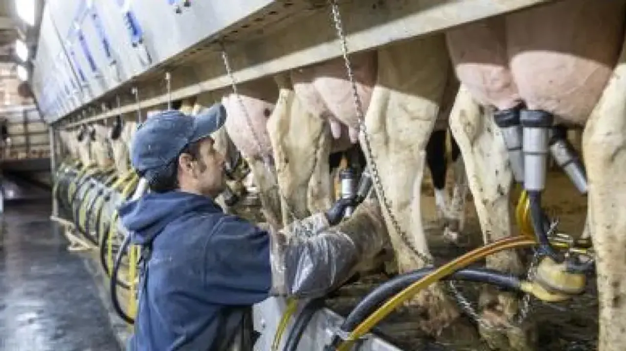 Flu virus can remain infectious in refrigerated raw milk for 5 days: Study