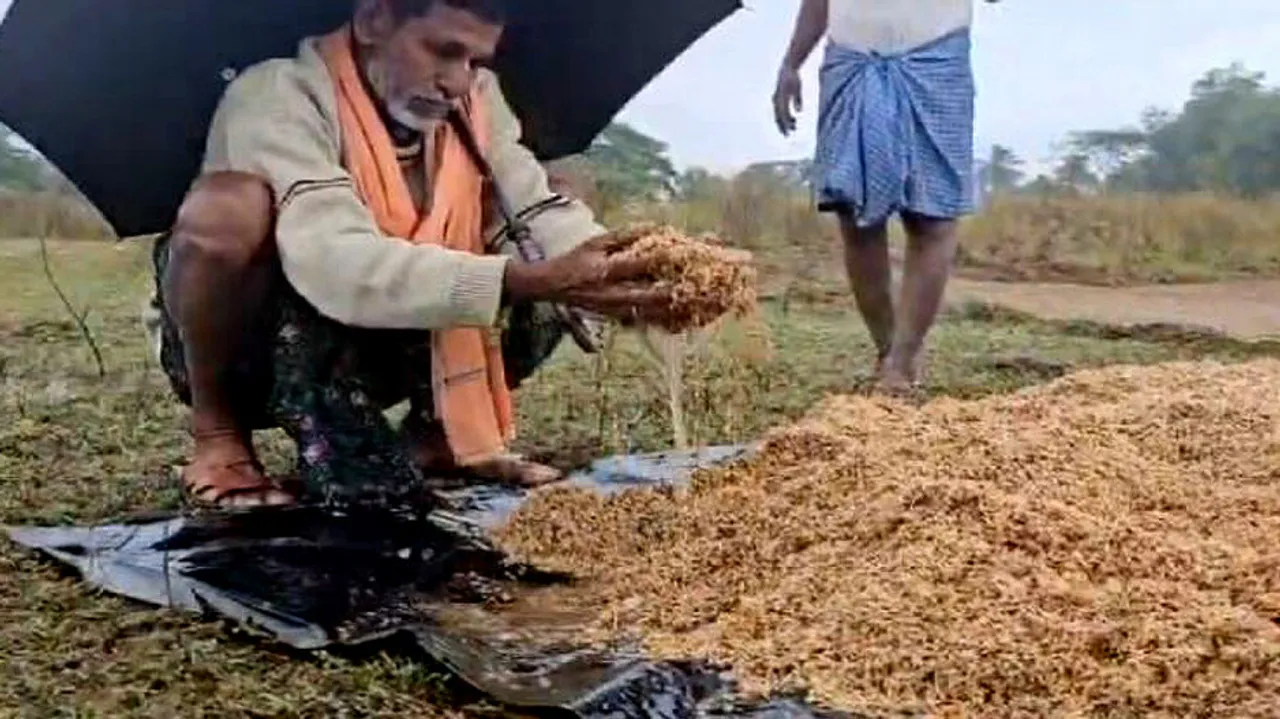 Rainfall in Odisha: Farmers to get compensation in 3-4 days, says Minister