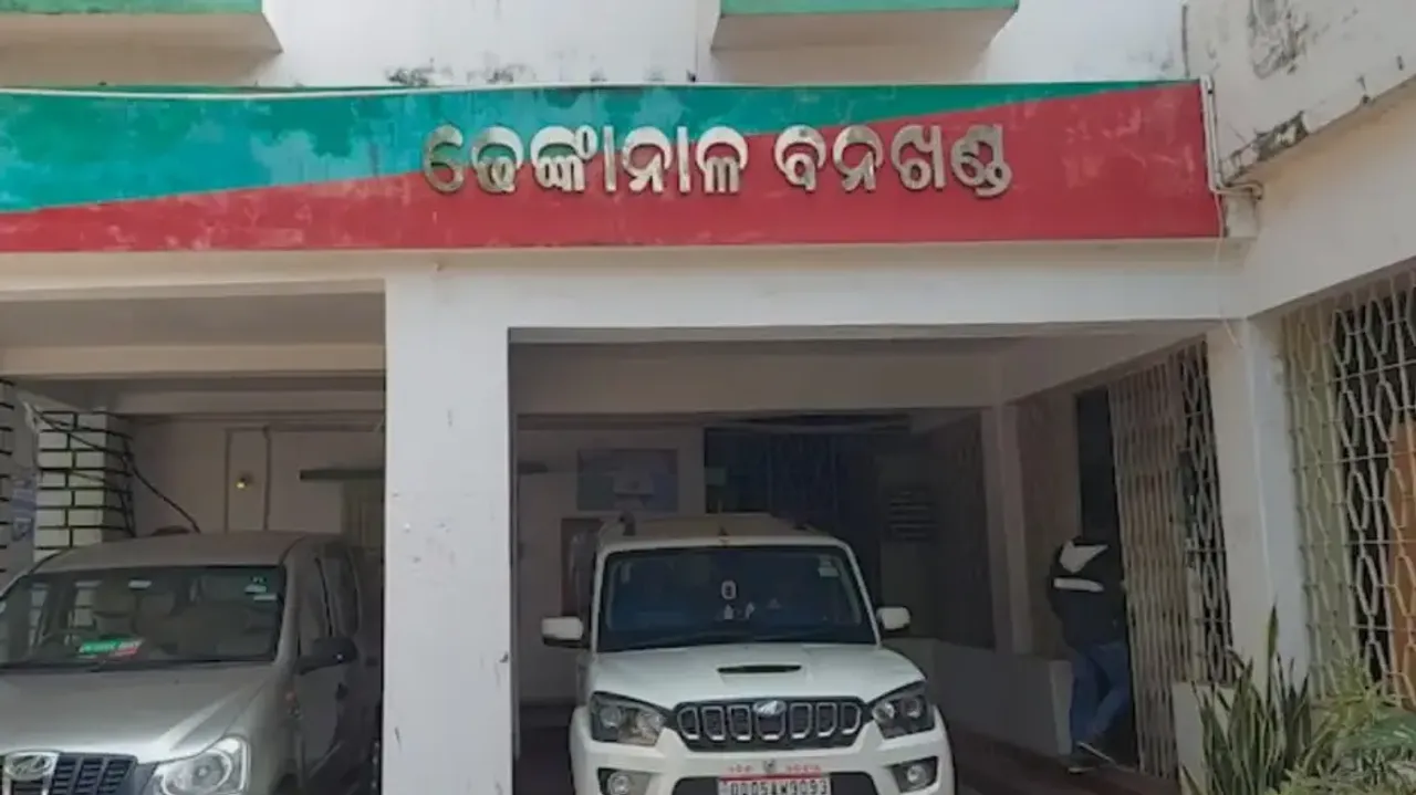 Leopard population faces threat despite boom in Dhenkanal