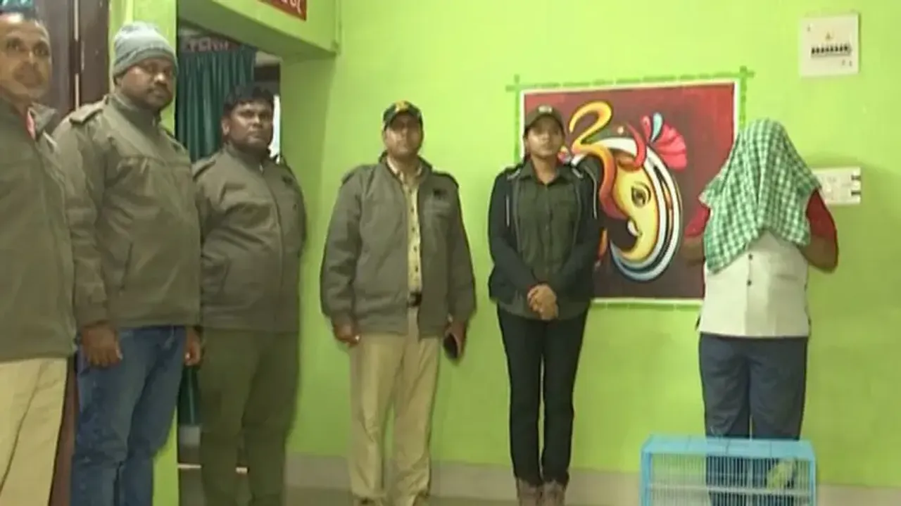 Odisha doctor found involved in smuggling of tiger skin, arrested  