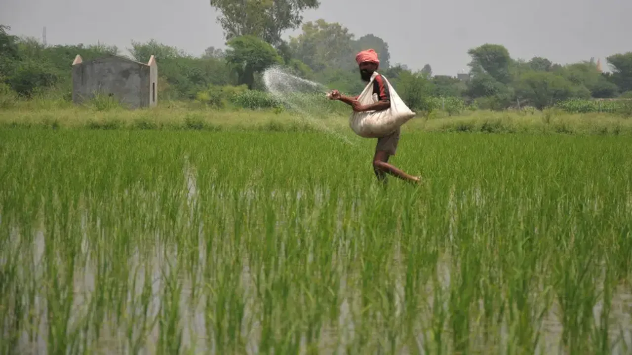 Cabinet okays extension of subsidy on DAP fertilizer for farmers