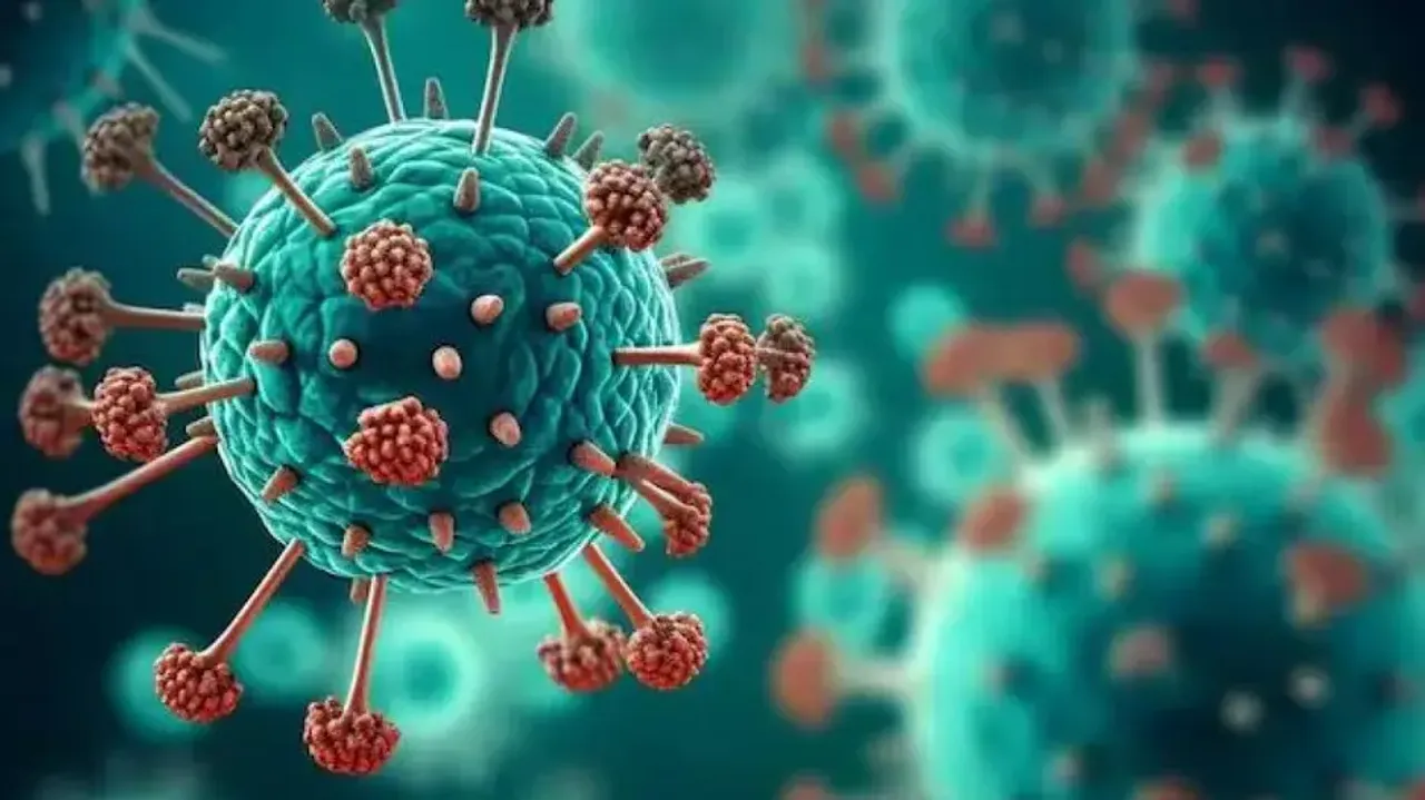 India reports first HMPV case as 8-month-baby tests positive in Bengaluru