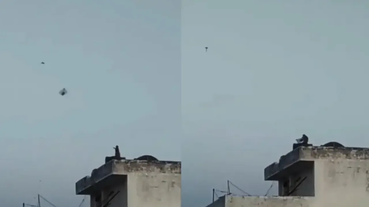 'Kai Po Che...' Monkey spotted flying kite on terrace, watch