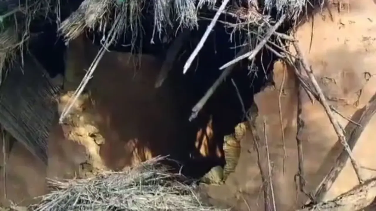 Elephants ransack houses in Dhenkanal's villages