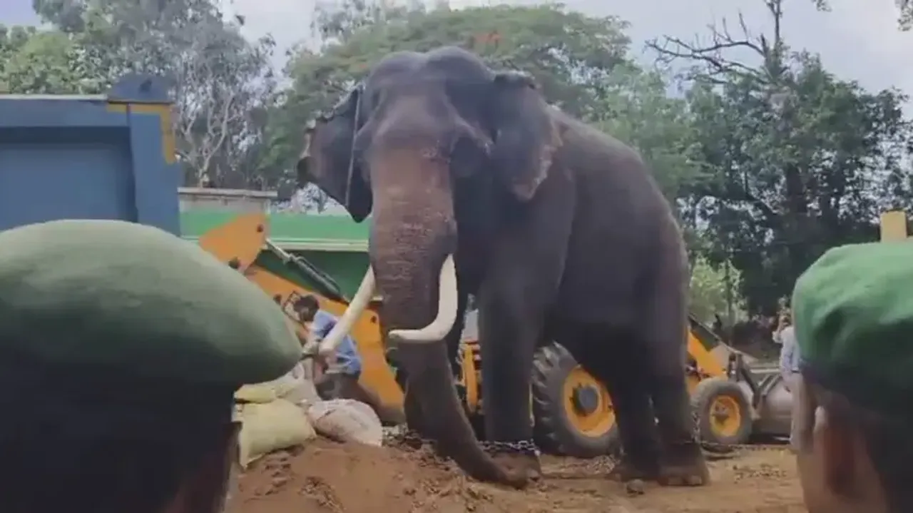 'Mahendra', 66-year-old tusker that protected Similipal, passes away in Odisha