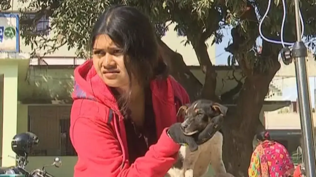 Pets in danger! Concern mounts as Parvovirus spreads in Odisha