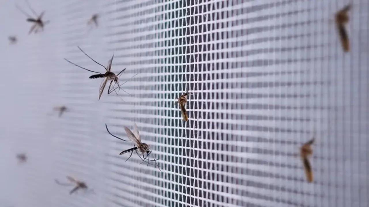 Taking serious note of mosquito menace in Bhubaneswar: Odisha Minister