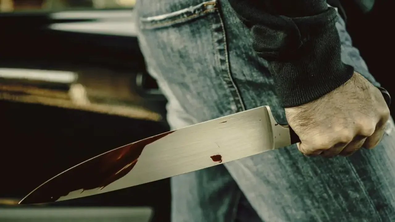 Andhra industrialist stabbed 73 times over property dispute by grandson