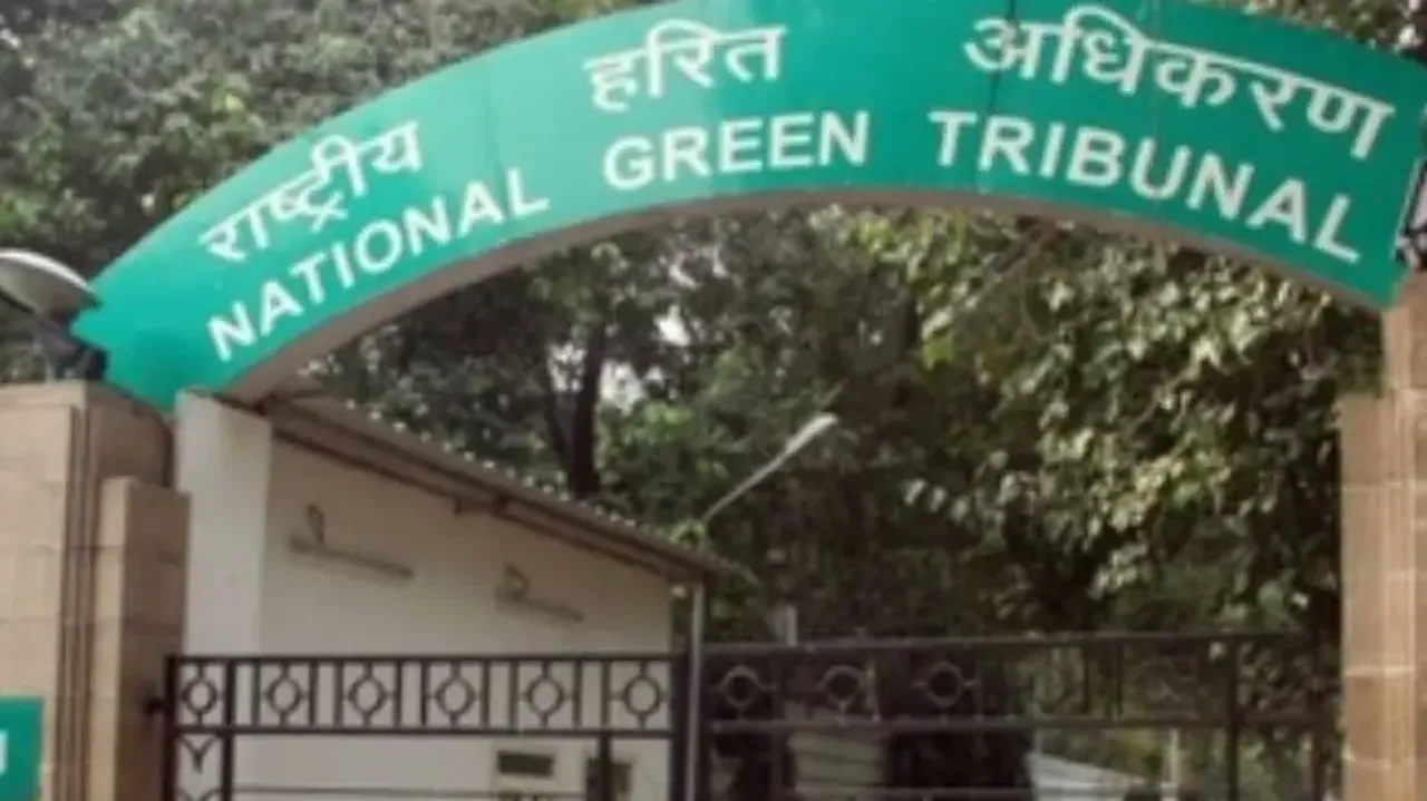 NGT issues notice to Odisha govt, state pollution control board over environmental violations 