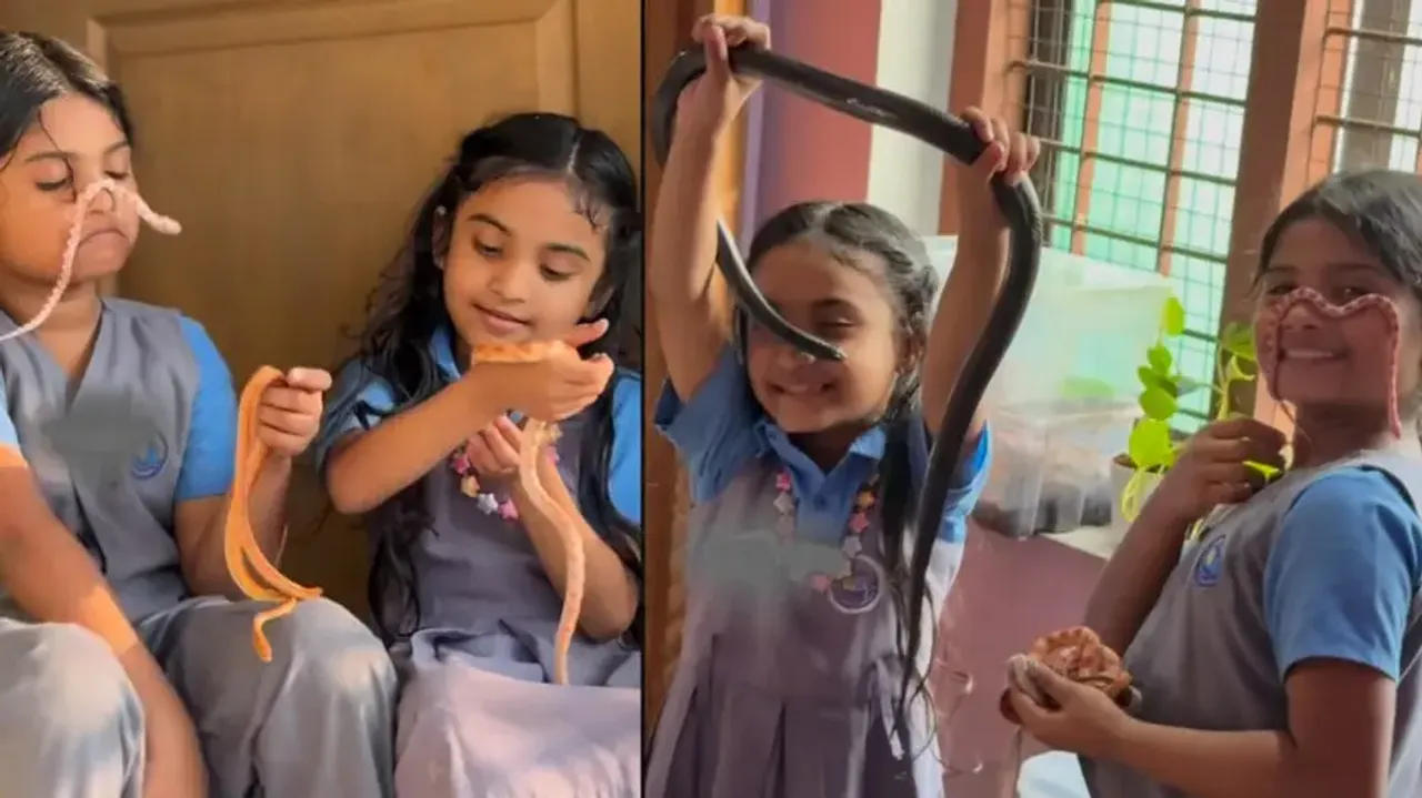 Scary and creepy! Schoolgirls allow slither of small snakes to crawl on their faces; watch