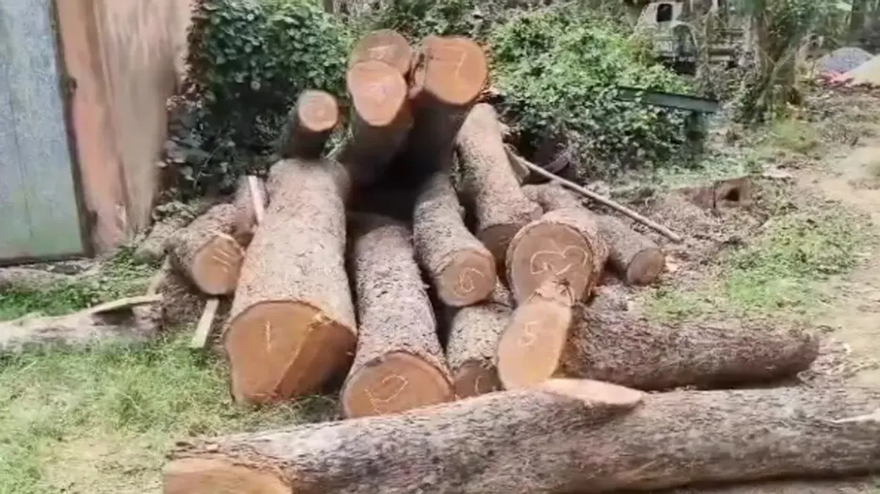 Illegal sawmill unit busted in Odisha’s Bhadrak, 4 detained