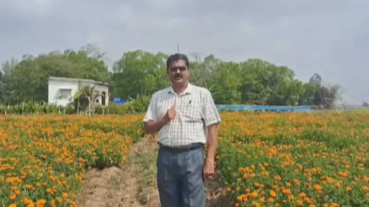 Redefining agriculture: Odisha farmers harvest success with marigold cultivation