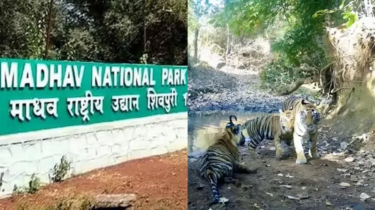 PM Modi appreciates opening of 58th Tiger Reserve in India