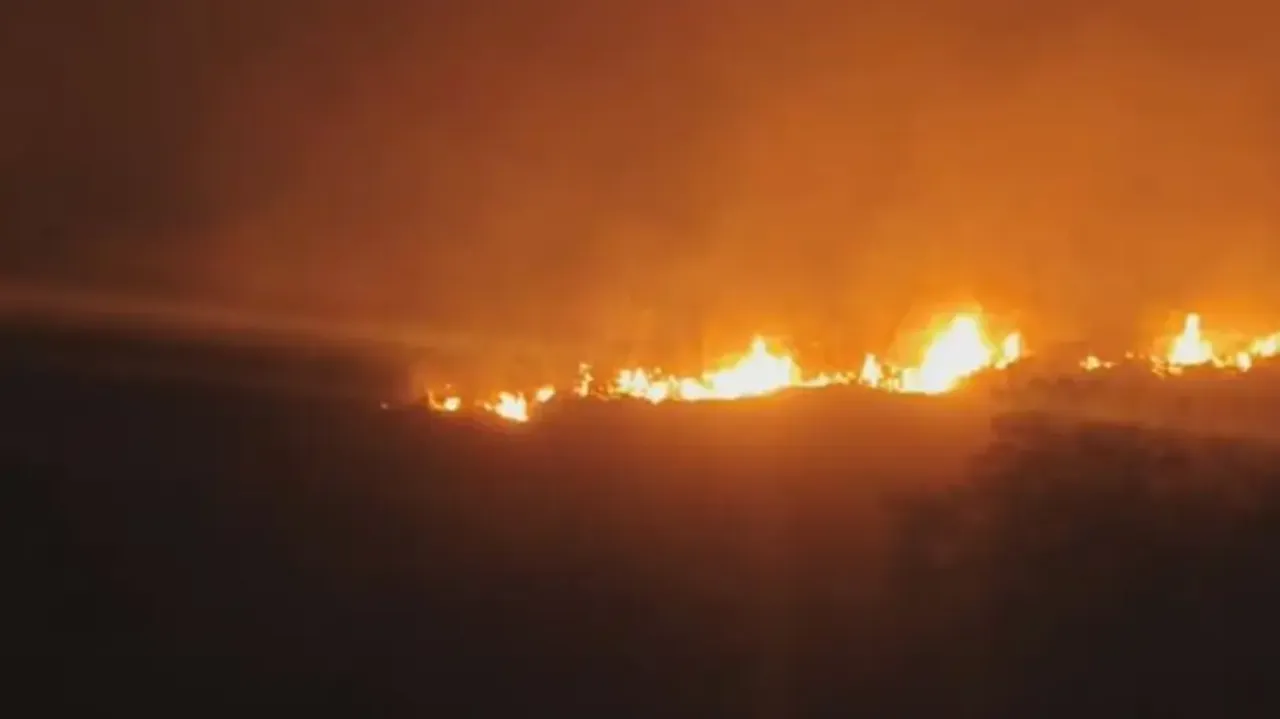 Wildfires sweep across Odisha forests, 747 regions burning today