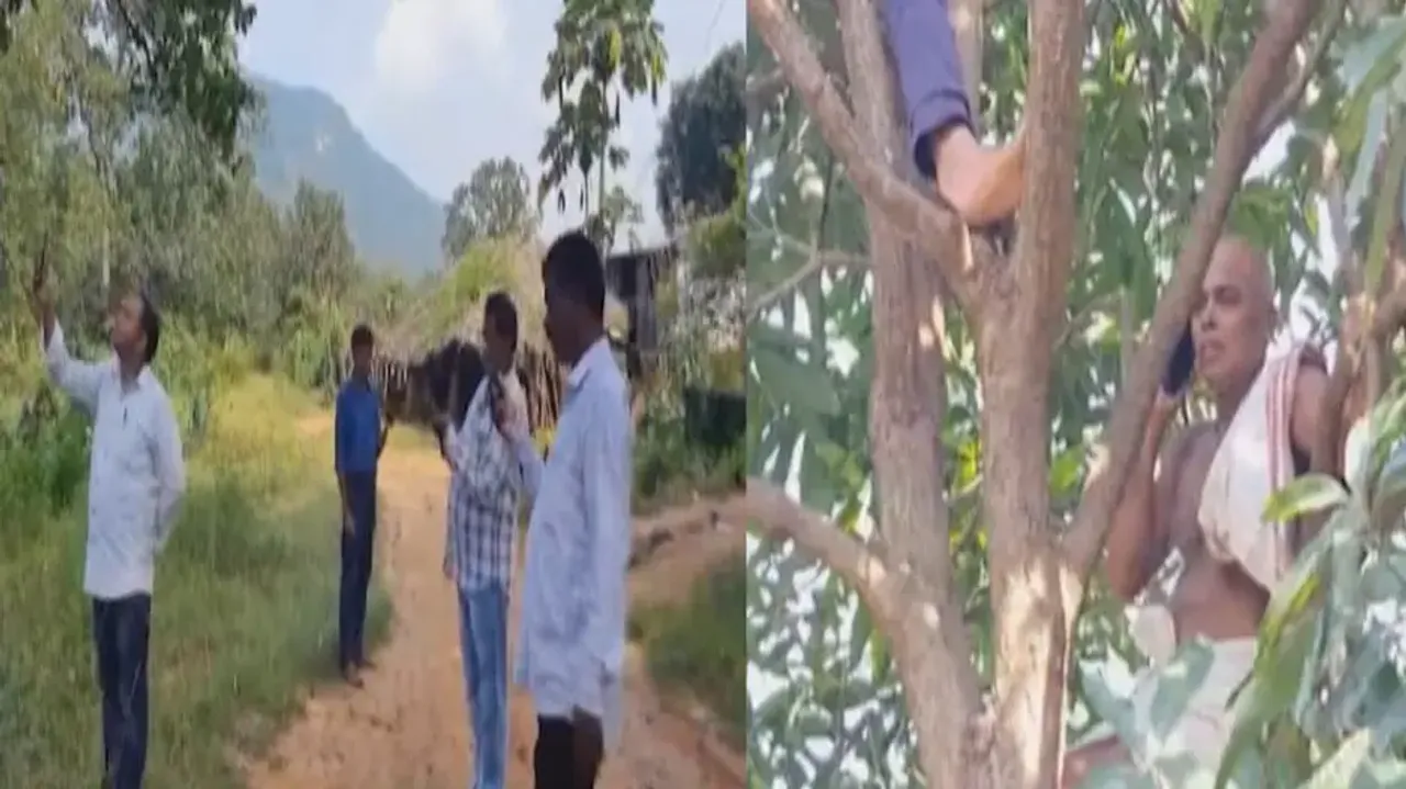 Over 2,600 Odisha villages still without mobile connectivity; govt plans massive expansion