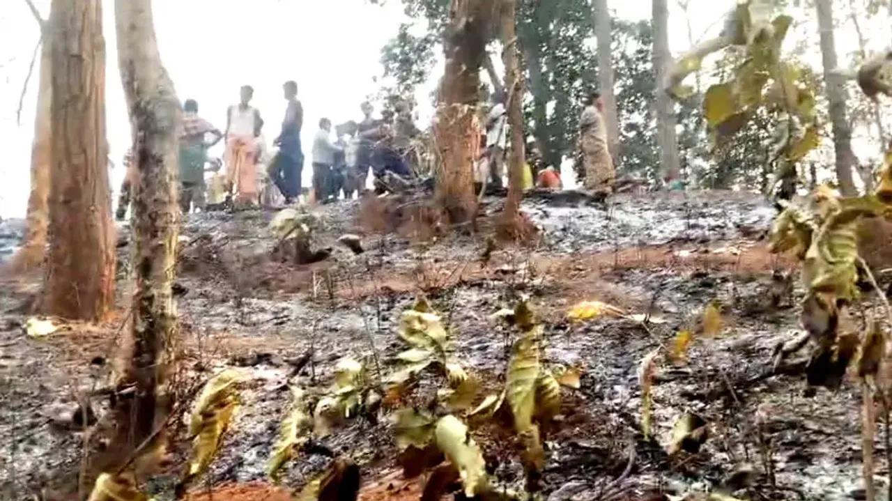 Odisha woman charred to death in ‘forest fire’!