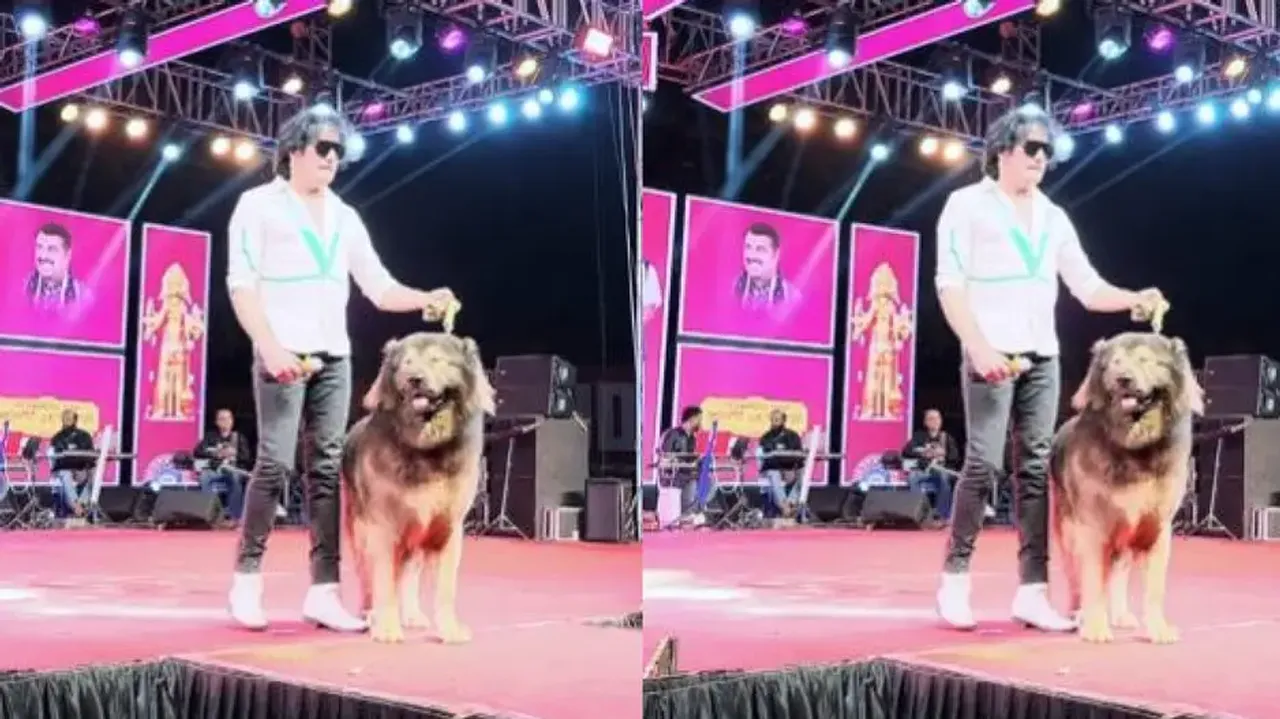 Bengaluru man spends Rs 500000000 to buy world’s most expensive ‘wolfdog’; know why so expensive