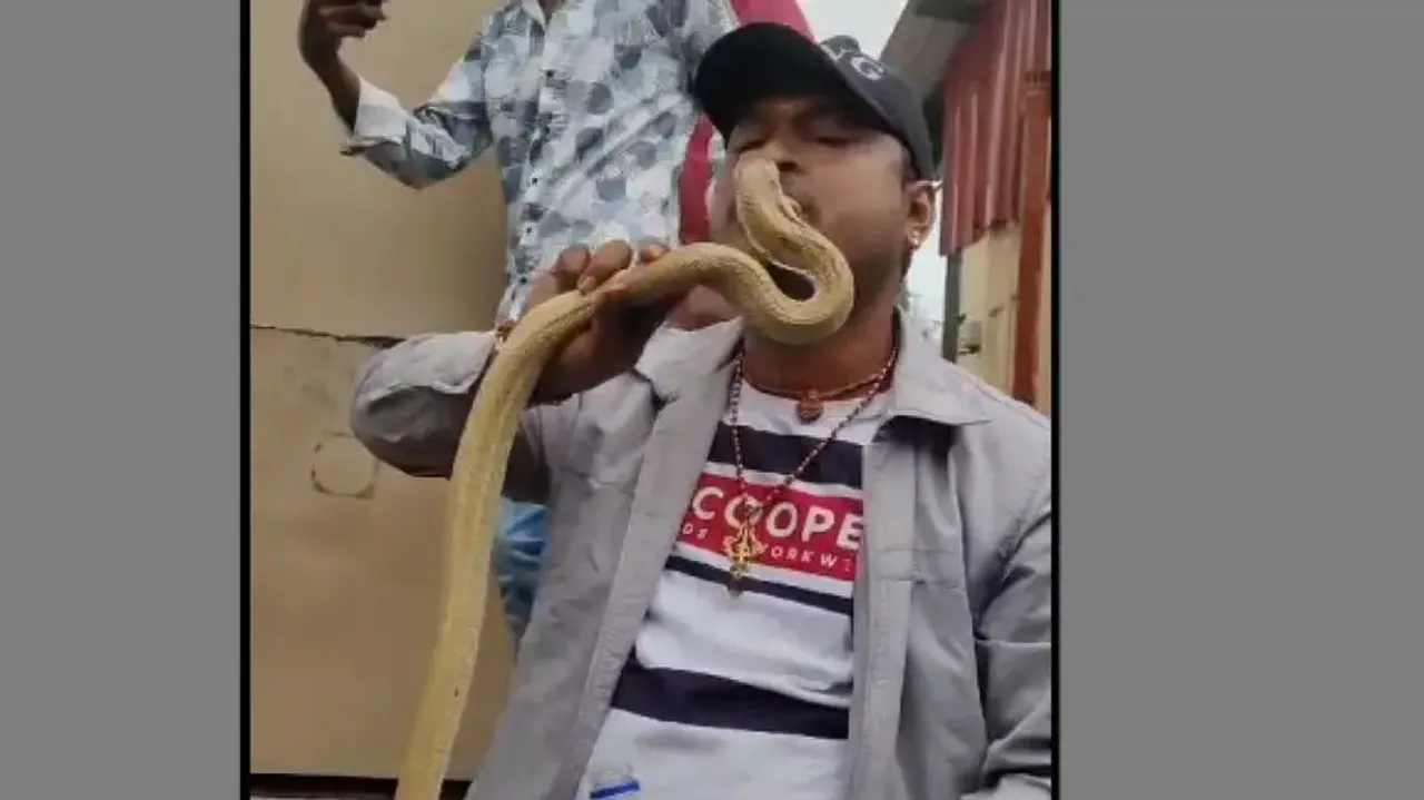 Odisha youth's dangerous stunt with cobra goes viral; experts warn against life-threatening acts