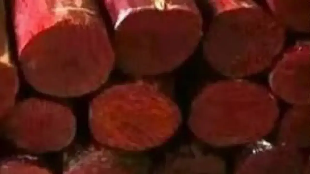 Odisha to conduct global e-auction of red sandalwood logs on April 9