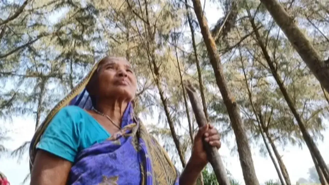 Odisha woman turns barren coastal land into green belt of over 50,000 trees; saves multiple villages