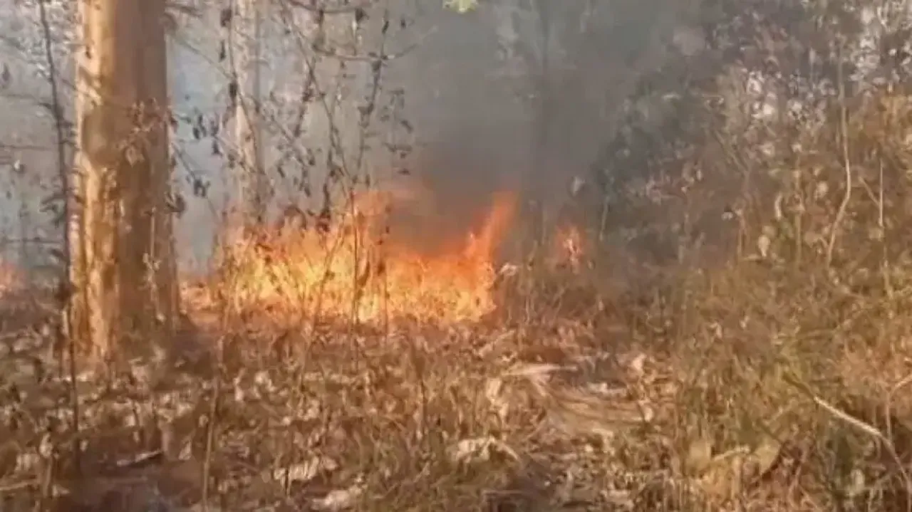 Drones, AI Being Used To Combat Forest Fire