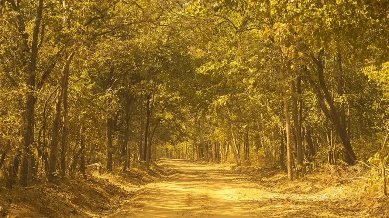 This wildlife sanctuary in Odisha is deeply connected with Veer Surendra Sai’s Indian freedom moveme