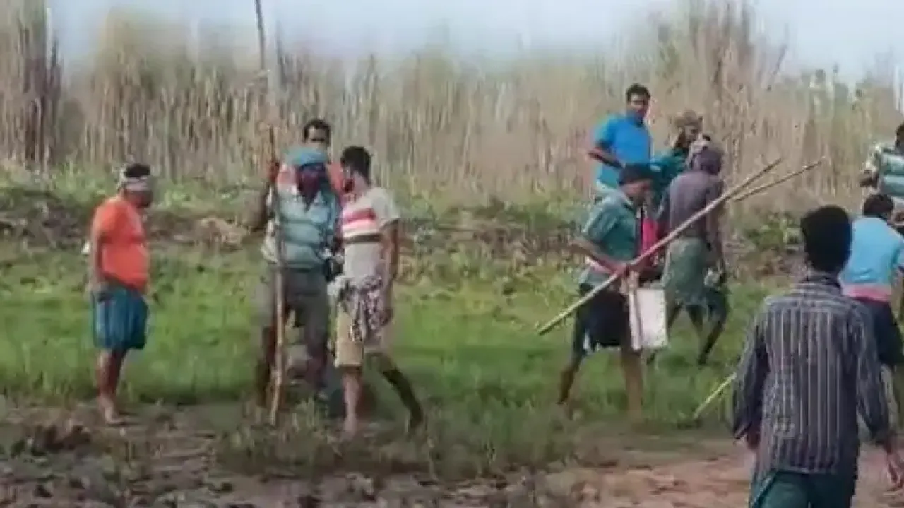 Clash over Cashew harvesting in Puri leaves 15 injured; police begin probe