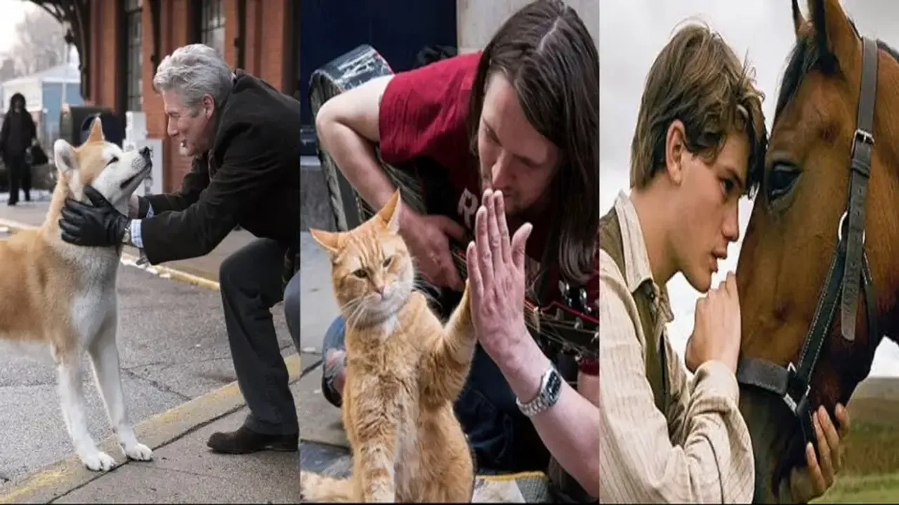 Hachi, Street cat named Bob, War horse