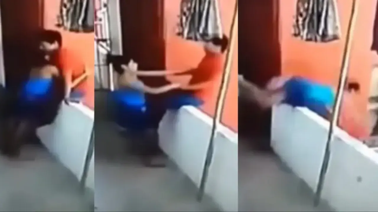 Falling in Love Lovebirds slip off from balcony watch