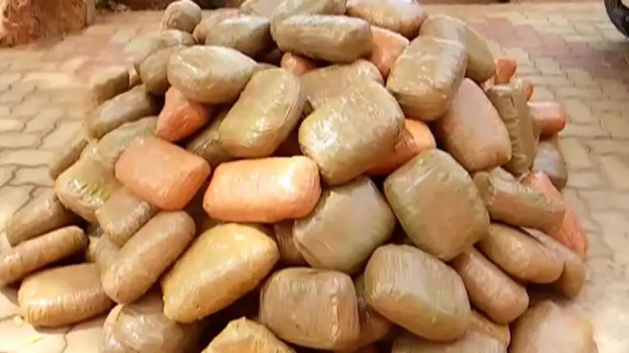 2 quintals ganja seized in Khordha