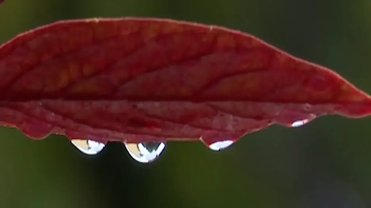 Know the guidelines followed to declare southwest monsoon onset