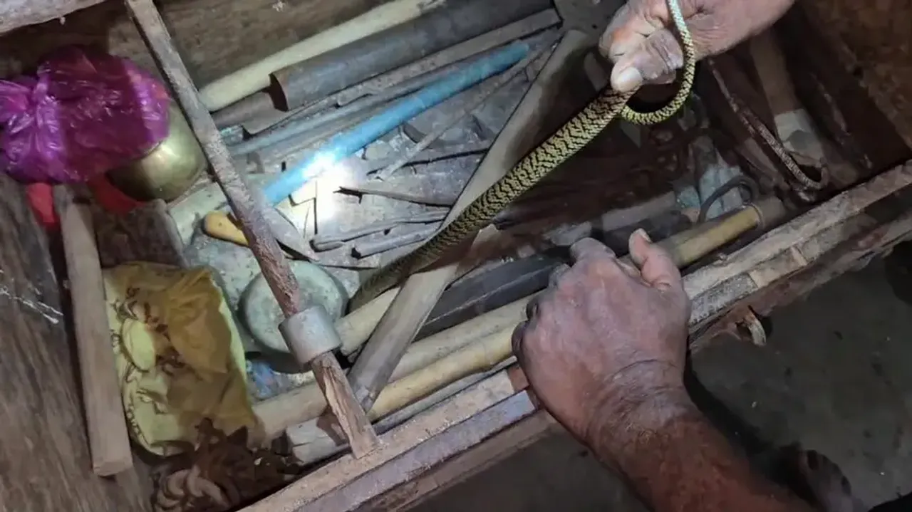 300-year-old wooden chest reveals hidden guest