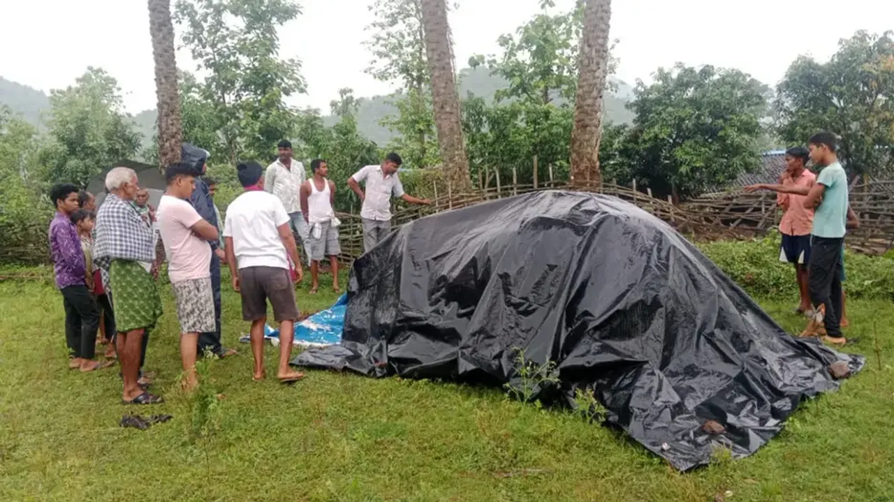 Tusker electrocuted to death in Odisha’s Angul, farmer detained for illegal electric fencing