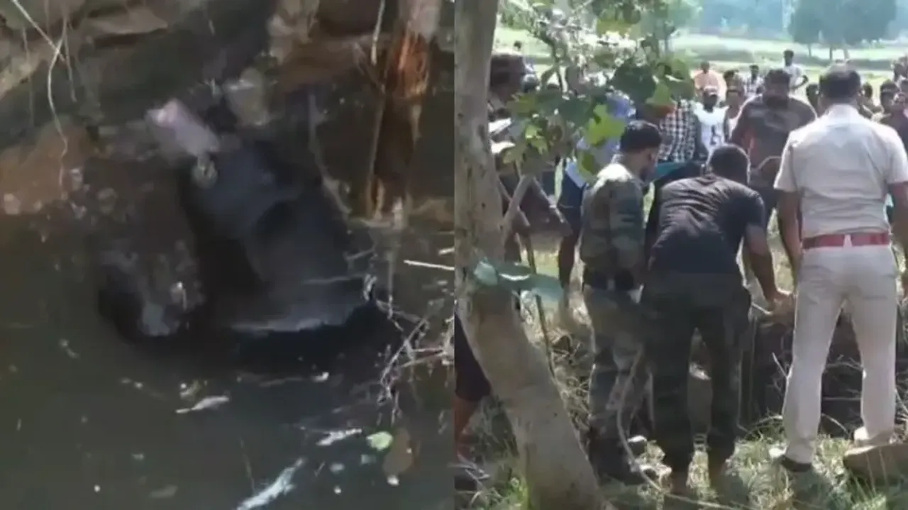 Bear trapped in well