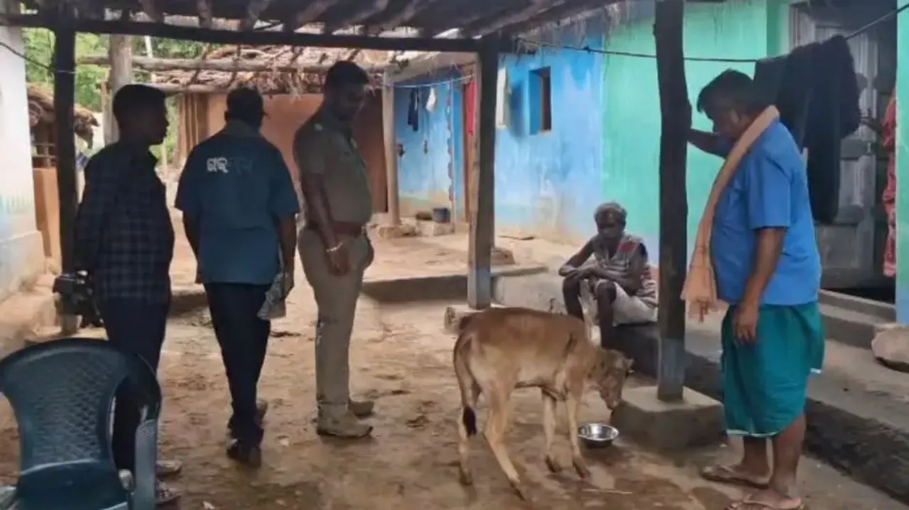 Tiger terror grips Nuapada villagers in Sunabeda Sanctuary