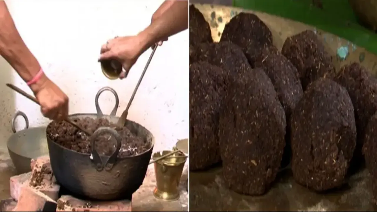 Dashamula Modak preparation