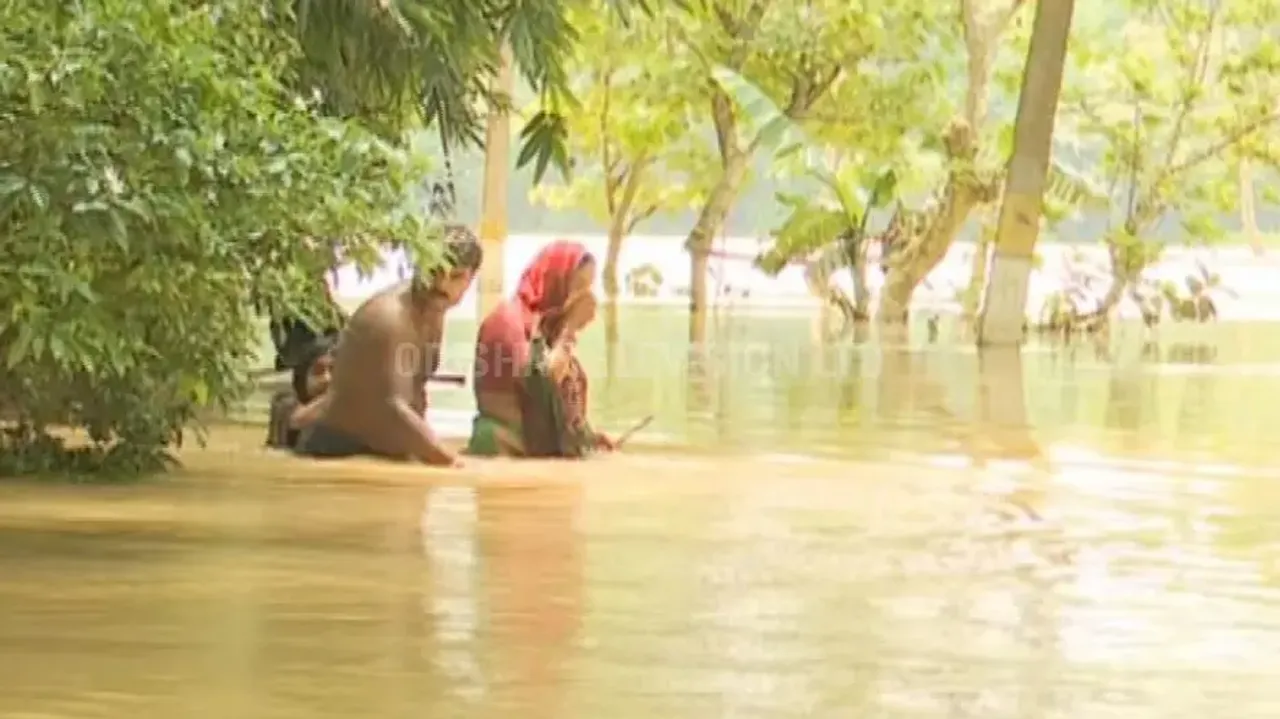 Odisha flood: Situation remains grim in Balasore, over 5000 hectare of farmland affected