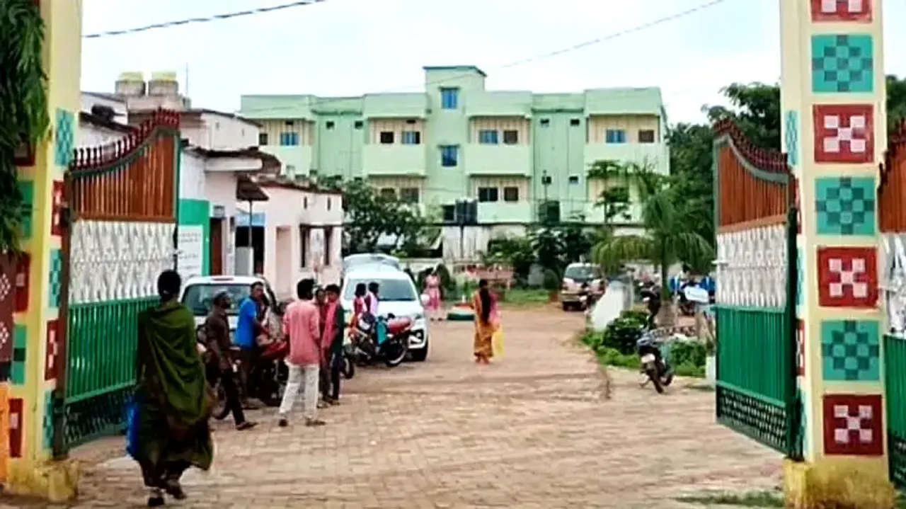 Odisha man narrowly escapes attack by 2 bears