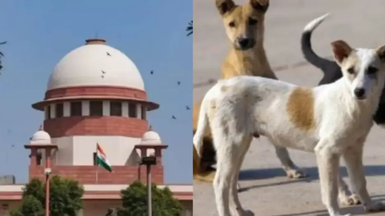 Supreme Court 