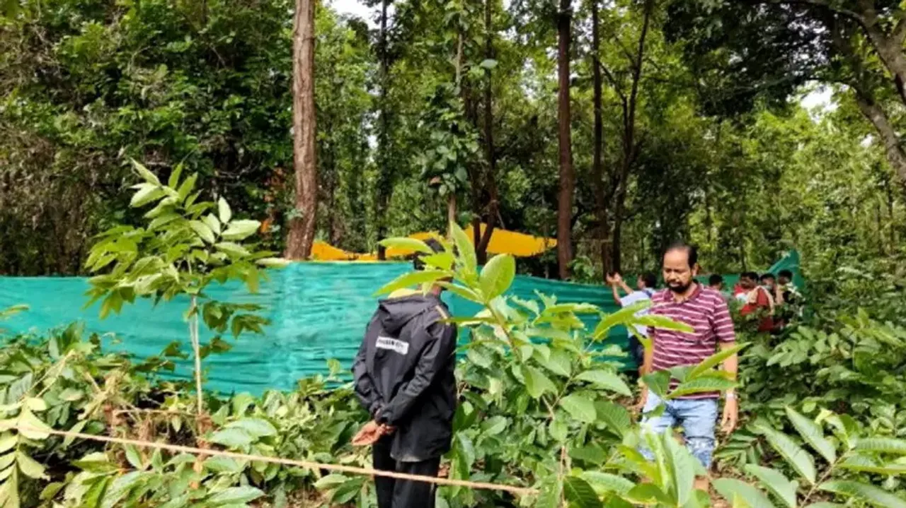 Elephant death: Forester & Forest guard transferred