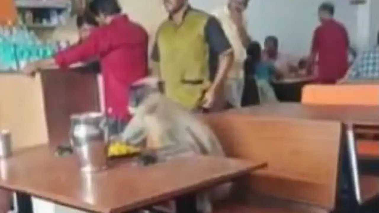 Monkey sitting in restaurant 