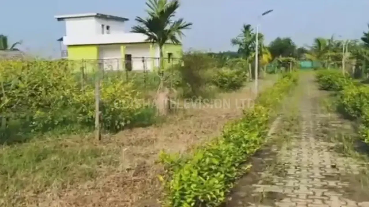 BMC Engineer under scanner as Vigilance conducts simultaneous searches at 4 locations in Odisha