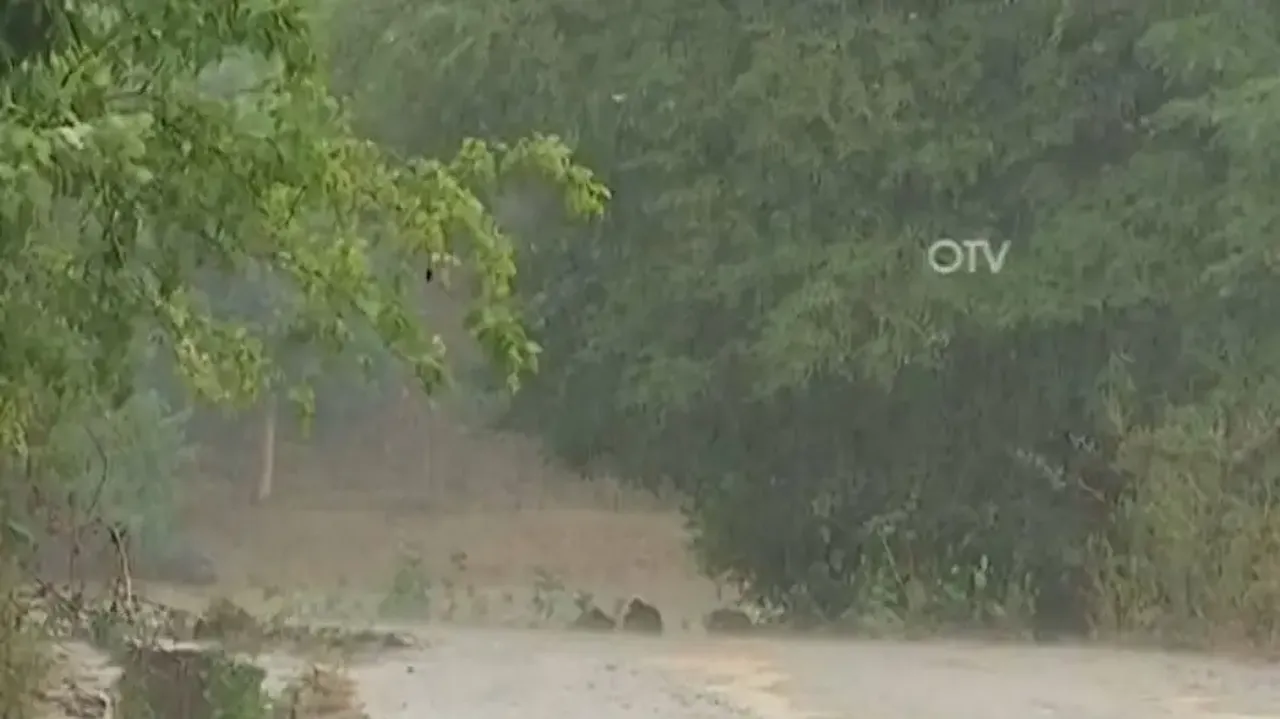 Odisha to experience more rain