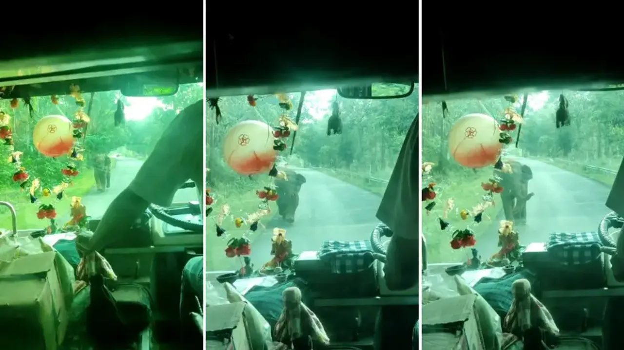 Tusker terror on Odisha road: Elephant charges towards bus, triggers panic among passengers