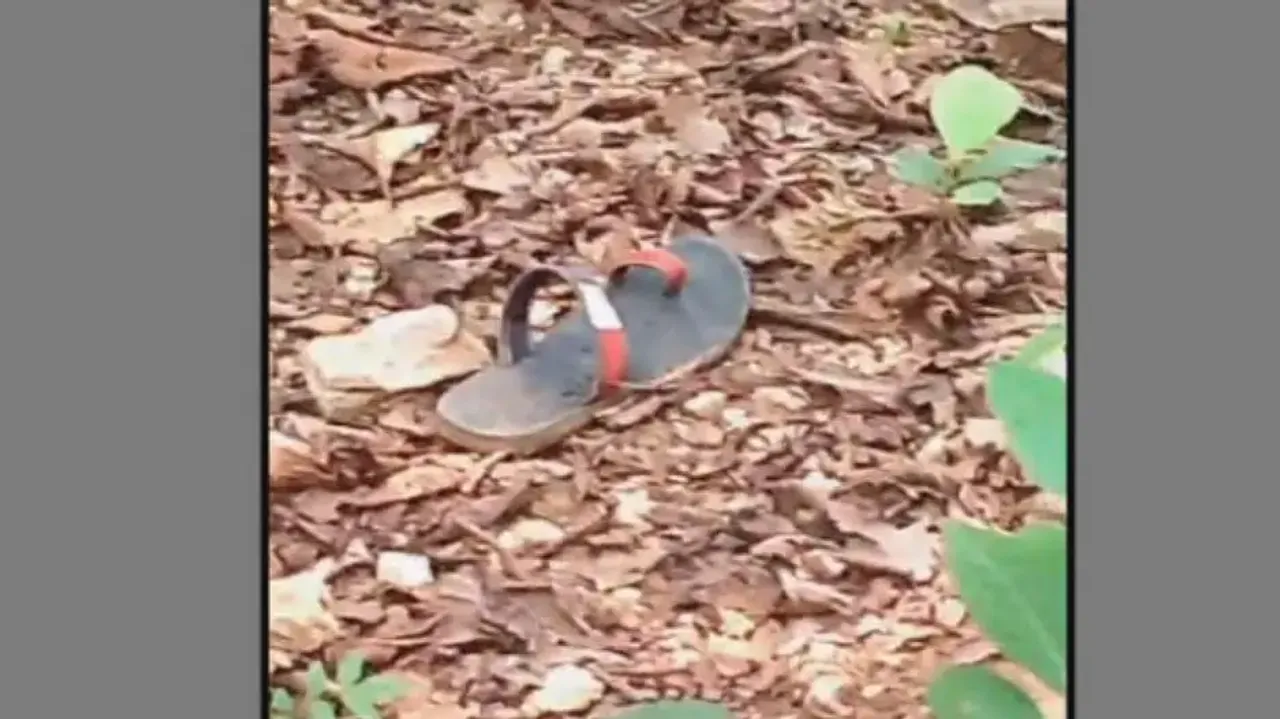 Missing youth’s skeletal remains found hanging from tree in Odisha forest